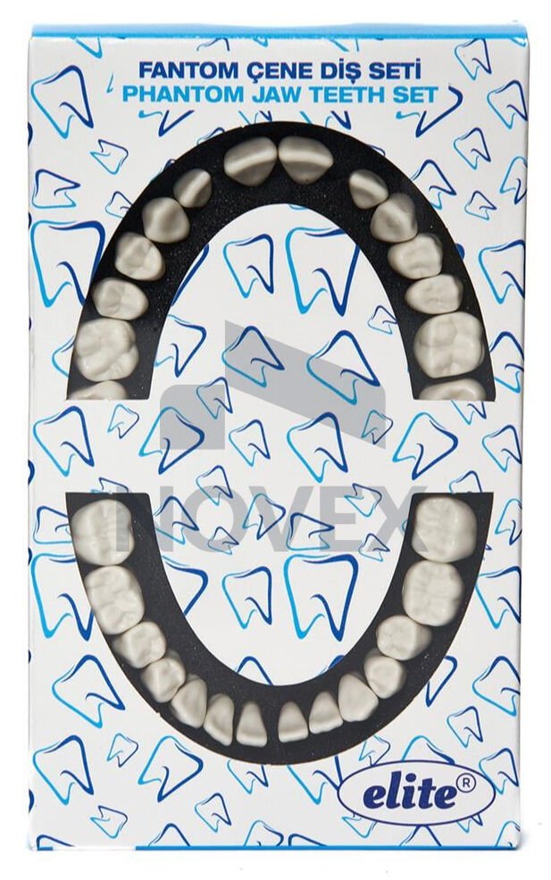 Elite Fantom Çene Diş Seti