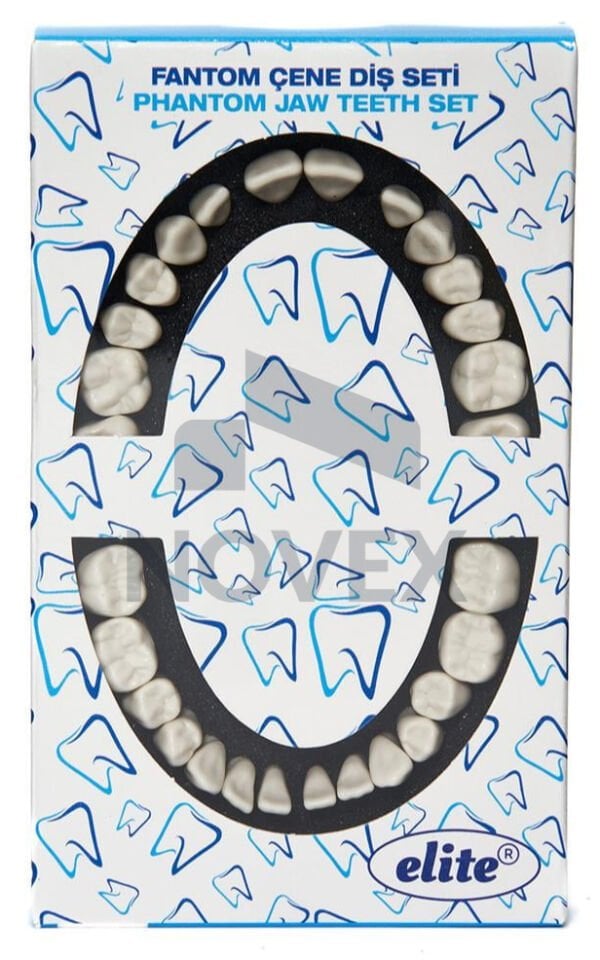 Elite Fantom Çene Diş Seti