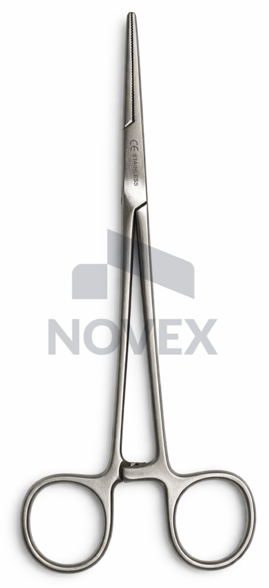 Portegü Gümüş İğne Tutucu