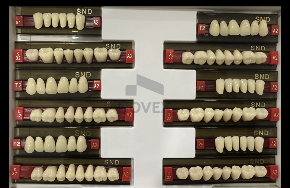 SND 2 Katmanlı Akrilik Protez Dişi 28’lik 3 Set (A2 Renk)