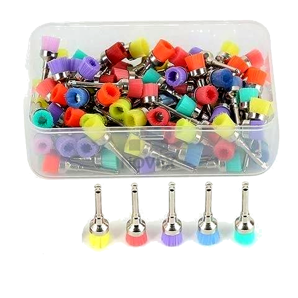 CocoDent Polisaj Fırçası Renkli